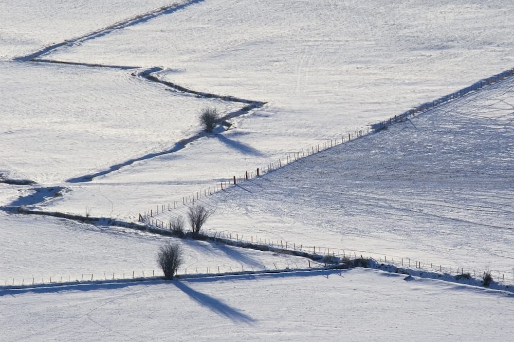 snow-pasture