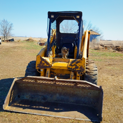 Lucky In Skidsteer